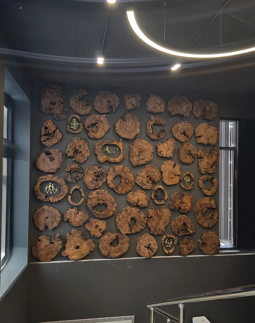 Secrets of the Forest - View 1